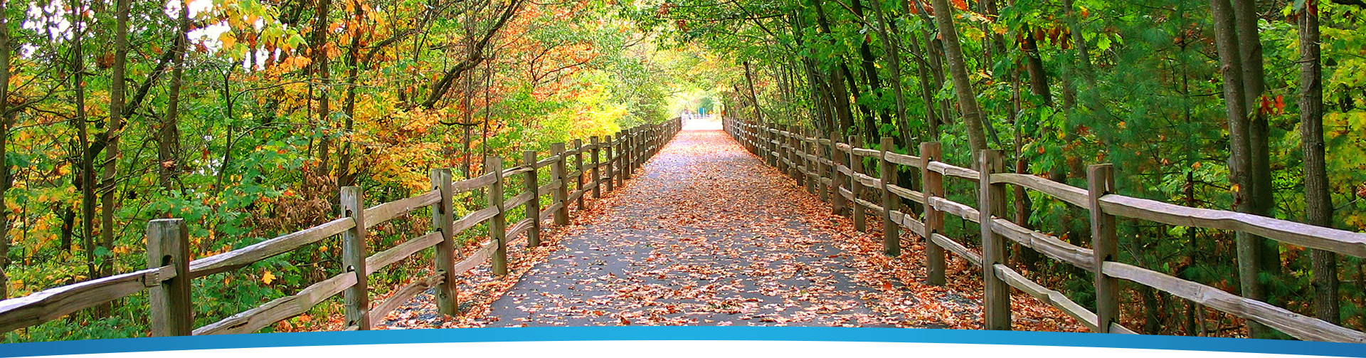 Endodontics Hingham MA, Endodontist