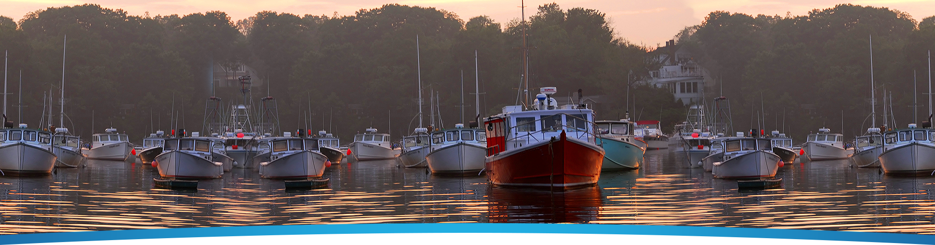 Endodontics Hingham MA, Endodontist